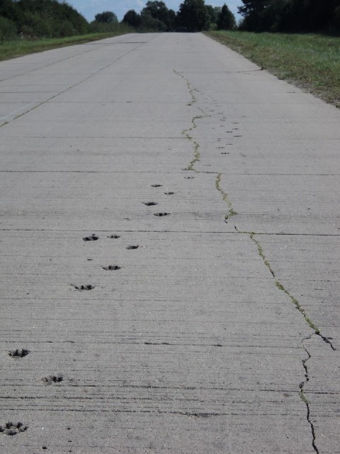 I thought that concrete roads were normally made by just dropping big prefabricated slabs onto the g...