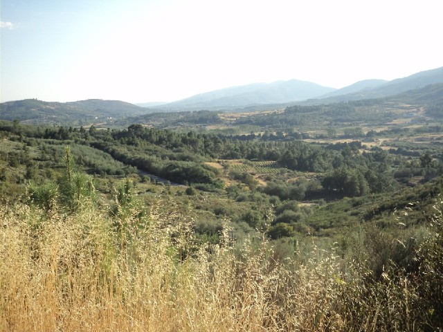 The view from part-way up today's second climb.