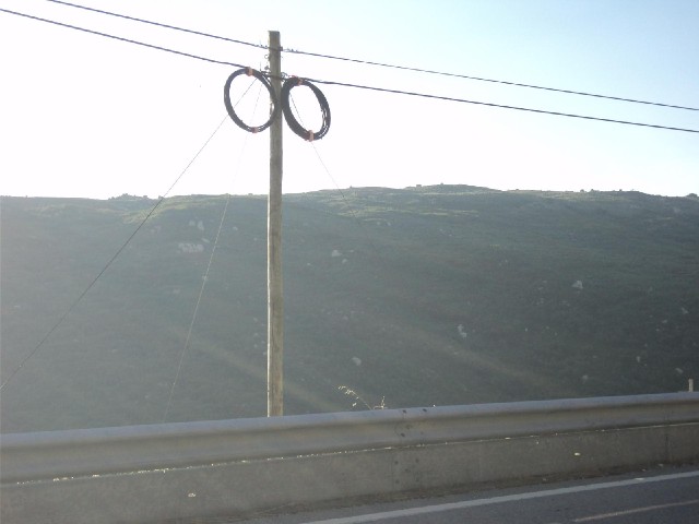 Every second pole along this road had what looked like coils of spare cable.