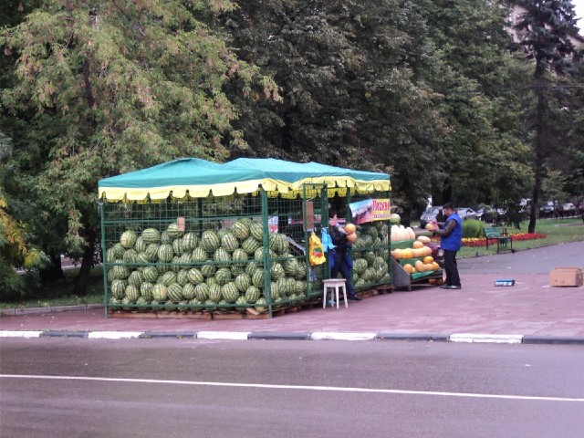 I remember seeing cages of watermelons like this in St. Petersburg a few years ago.