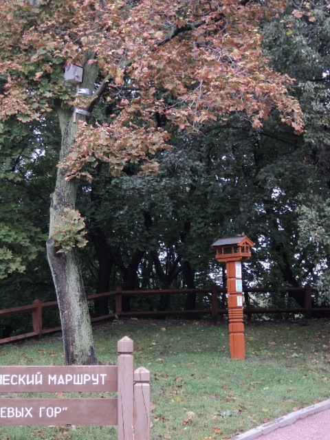 bird boxes in a park next to the river.
