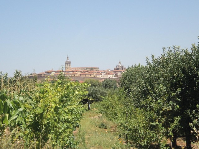 Ciudad Rodrigo in the distance.