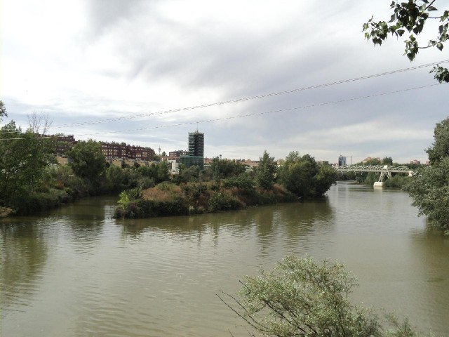 Another wiew of the river. The tall building is the Science Museum, near to where I will be staying.