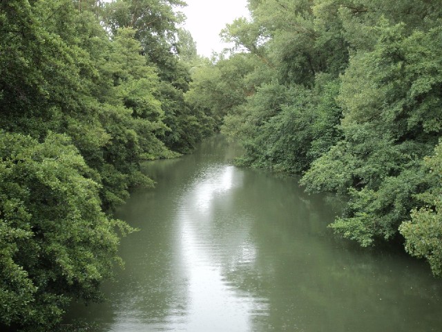 The River Arlanza.