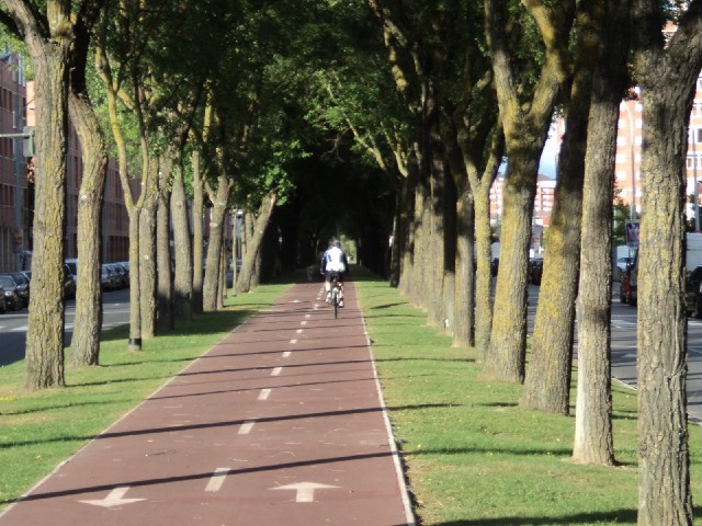A cycle path up the middle of one road.