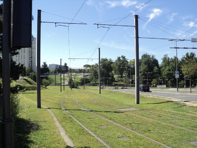 You seem to get a lot of greenery around the tram lines.