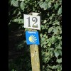 Hello? Here's a symbol I haven't seen for a couple of weeks. I must have found one of the feeder rou...