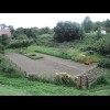 A neat but rather empty-looking garden.