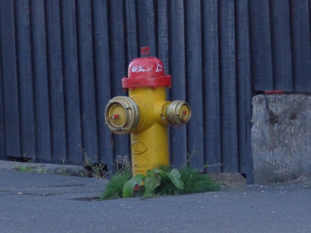 The fire hydrants look quite American. Sadly, I think this is the closest to america that I will get...