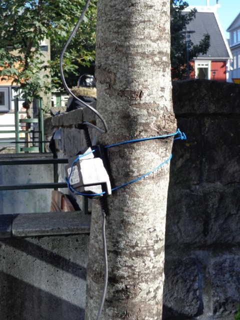A transformer tied to a tree.