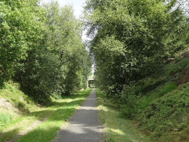 Another section of the old railway.