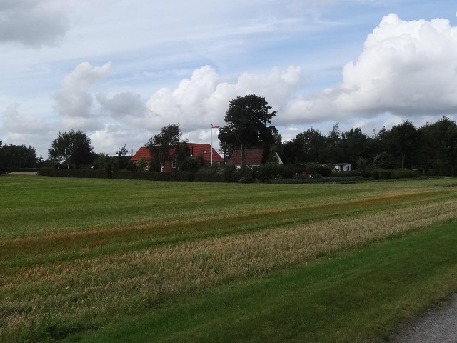 A lot of the rural houses were flying streamers in the colours of the Danish flag, like this one.