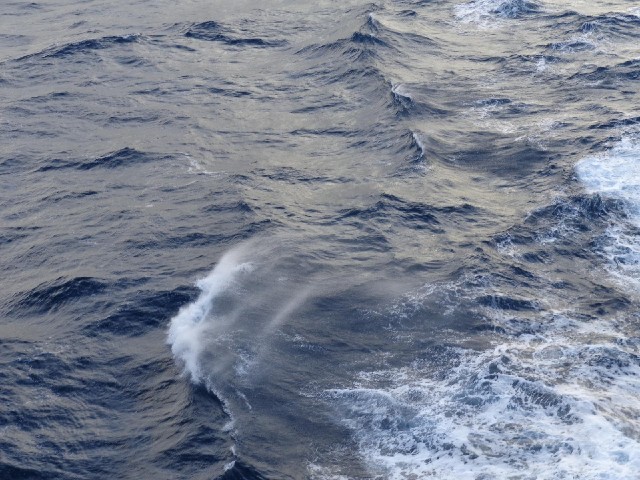 Spray from the waves.