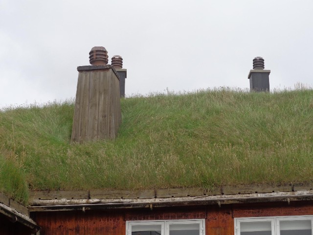 A grass roof.