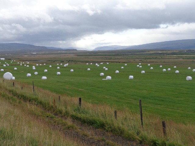 Bales of grass.