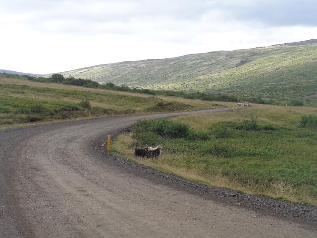 I'll just mention again that this is Route 1, the main road for the whole of Eastern Iceland. The on...