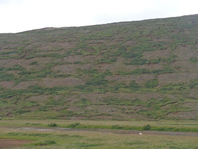 I believe the patterns here are caused by wind erosion.