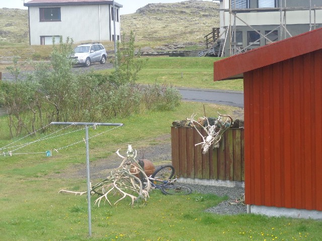 People in this town seem to have difficulty disposing of their old reindeer heads.