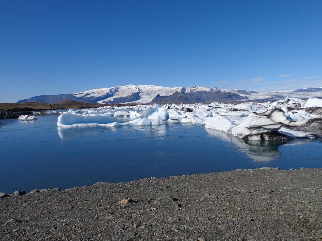 They break off the glacier a few kilometres from here and float down this river to the sea.