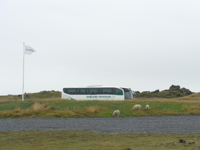 The tailwind is back, there are now three sheep and the coach party is leaving.