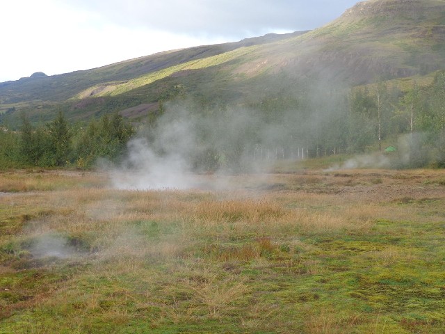 The steaming field.