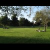 A park in Cambridge.