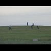 Golfers!