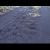 Footprints in the black sand.