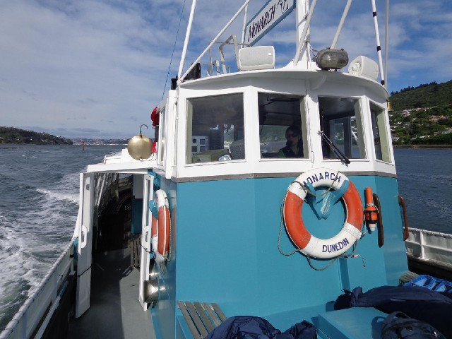 The boat's driver was giving an informative commentary, as well as keeping a lookout for birds.