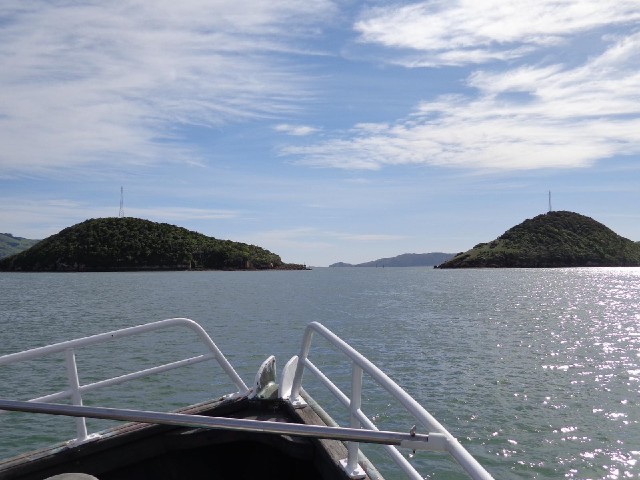 The narrow point in the channel out of Dunedin.