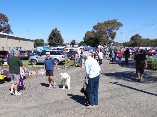 A car boot sale at the Geelong Showground. I have only come in here because I missed breakfast this ...