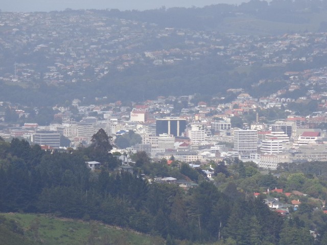 A view of central Dunedin.