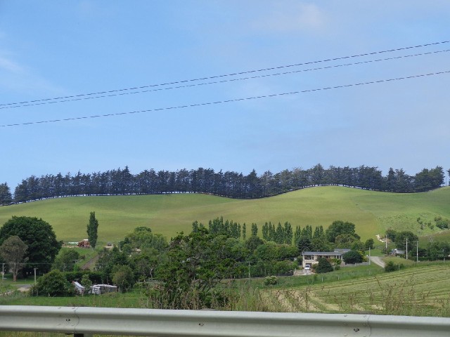 I like the little gap between the top of the hill and the bottom of the trees.