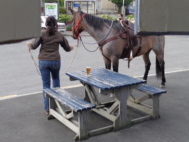 While I was eating, a woman turned up for a drink on a horse.