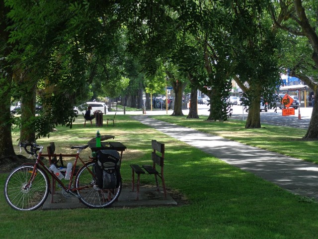 A shady spot in Ashburton. I tried to eat an ice lolly here but even under these trees, quite a lot ...