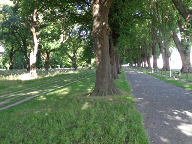 The path around the periphery of a park.