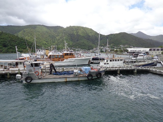 Boats in Picton.
