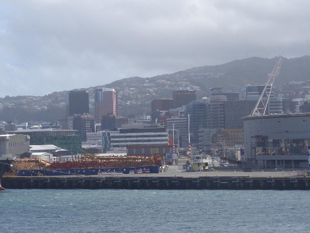 Wellington, with some logs piled up ready for export.