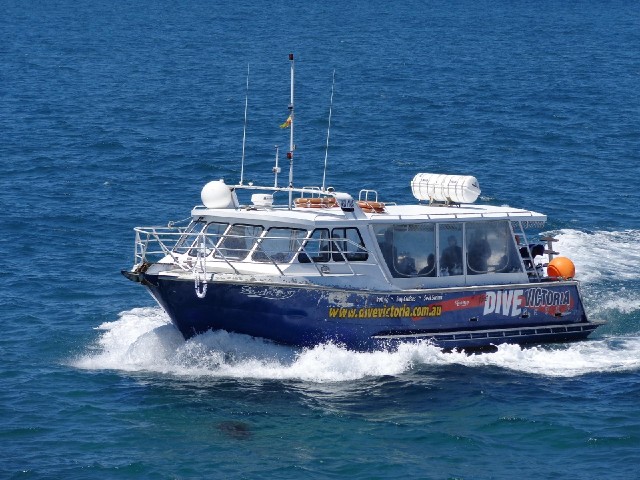 A tourist boat.