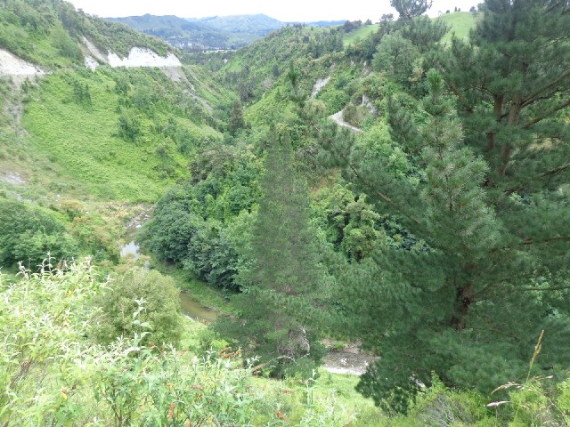 Looking down into a valley.