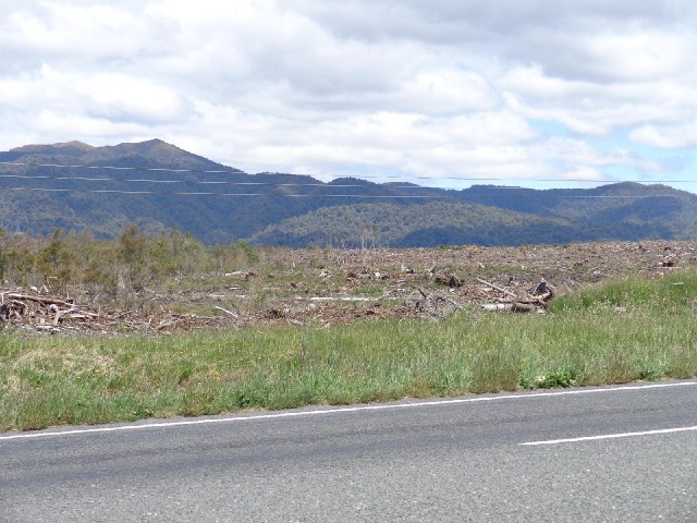 A deforested area.