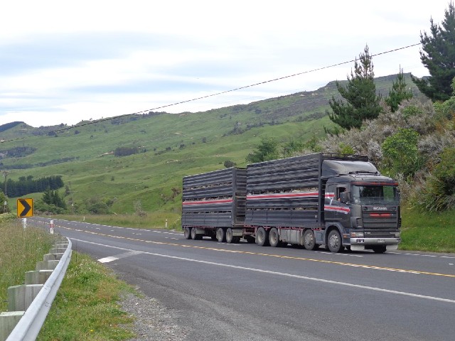 A lorry full of sheep struggling up the hill.