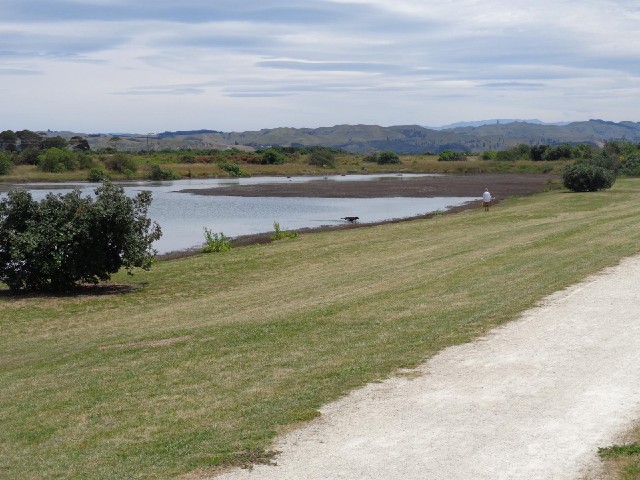 Lakes near Napier.