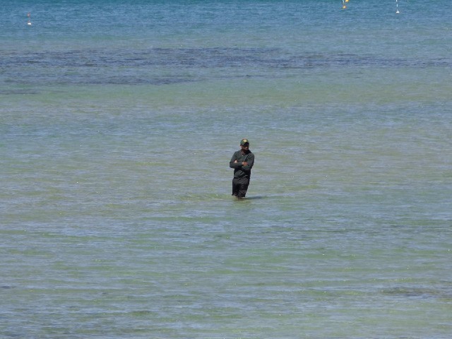 ... a man standing in the water.