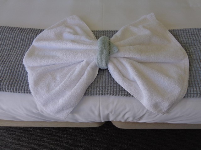 Towels on the bed... sleepy towels!