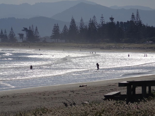 Surfers on the beach in Gisborne.