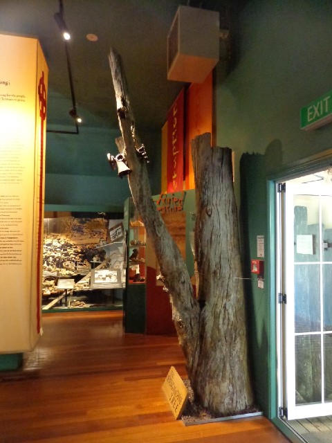 The strangest thing in the museum is this antique sewing machine up a tree. It stood in the car park...