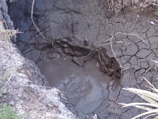 Just above the pool, the mud has formed itself into a little chimney. It looks like that must happen...