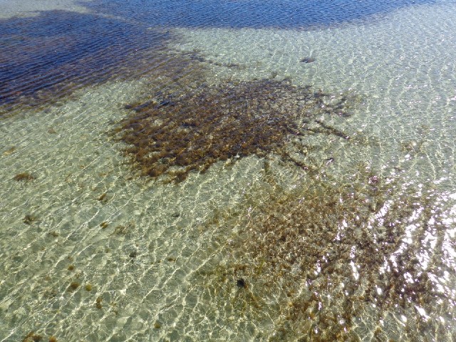 Clear shallow water.