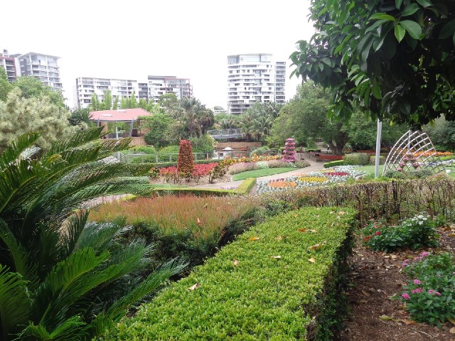 This section of the park contains examples of subtropical plants.
